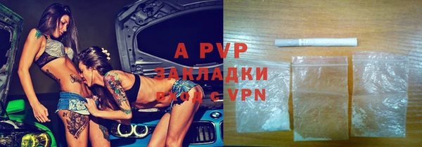 стафф Белокуриха