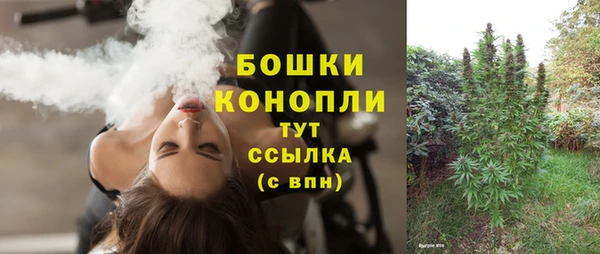 стафф Белокуриха